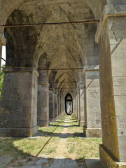 PXL 20250724 095324022