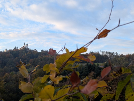 PXL 20251021 151940707