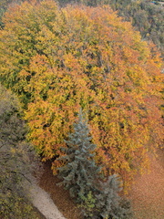 PXL 20251026 092230061