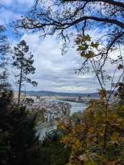 PXL 20251026 093510182