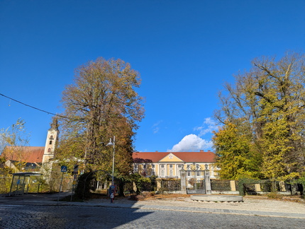 PXL 20251026 122409187