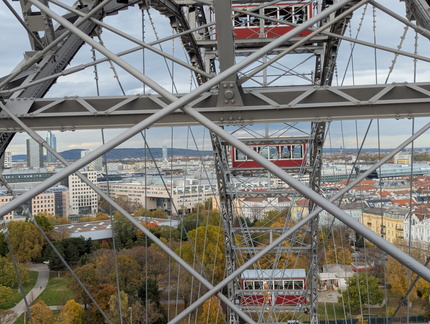 PXL 20251030 122111095