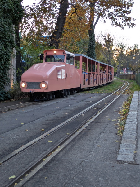 PXL_20251030_144942653.jpg